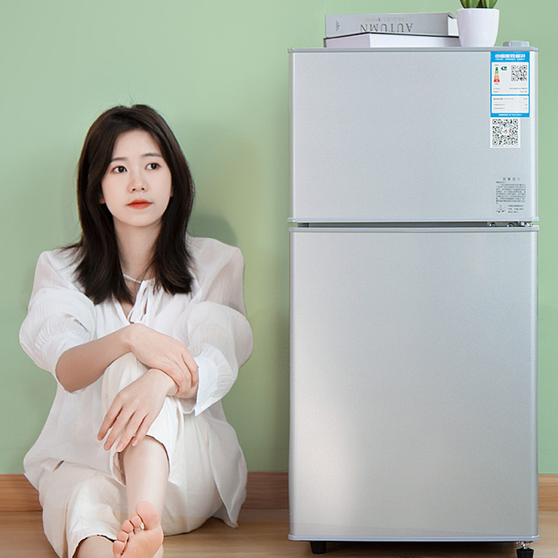 Kitchen Appliances Rental - Mini Refrigerador para Casa e Escritório,